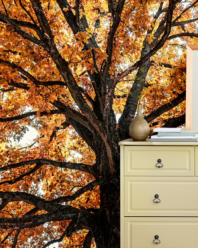 eco-friendly-bathroom-wallpaper-featuring-a-vibrant-autumnal-tree-with-golden-leaves-with-a-modern-table-in-front Eco-friendly bathroom wallpaper featuring a vibrant, autumnal tree with golden leaves, with a modern table in front