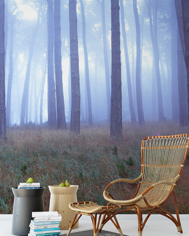 Room with a forest-themed blue wallpaper trends featuring tall trees in a misty setting, and a wicker chair