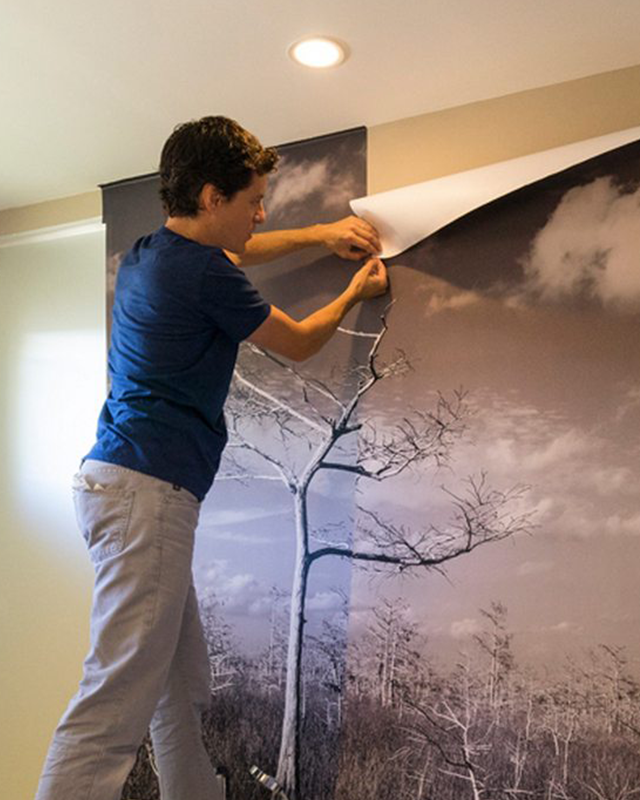 a-person-installing-black-and-white-tree-themed-abstract-wallpaper-for-commercial-spaces-on-a-wall a person installing black and white tree themed abstract wallpaper for commercial spaces on a wall