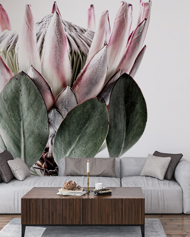 floral-wallpaper-for-accent-walls-with-a-close-up-of-a-protea-flower-in-front-of-a-gray-sofa-and-wooden-table Floral Wallpaper for Accent Walls with a close-up of a protea flower in front of a gray sofa and wooden table.