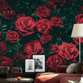 Floral Wallpaper for Different Rooms featuring red roses, with a cozy sofa, framed pictures, and a lamp in front.