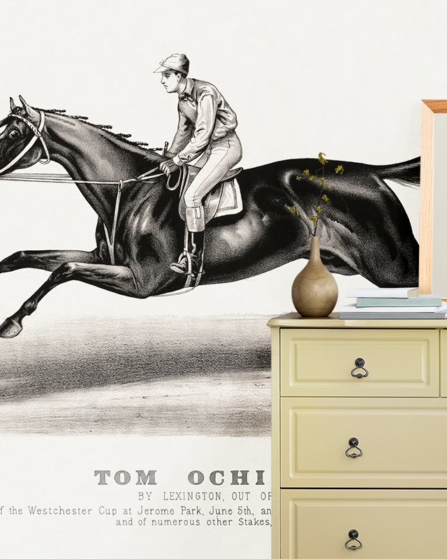 Vintage horse racing illustration wallpaper, paired with a dresser, offering tips for selecting sports wallpaper.