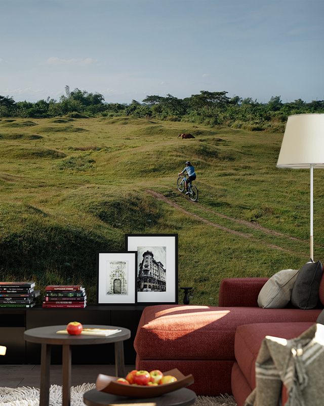 Wallpaper featuring a cyclist on rolling green hills, with a red sofa, lamp, and framed pictures in front, illustrating Comparison of Abstract Wallpaper with Other Styles