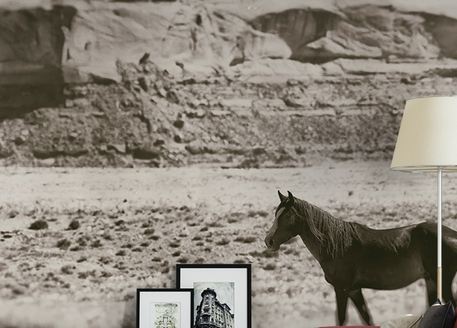 Black-and-white desert scene with a horse, featured as vintage wallpaper for large spaces in a modern living room.