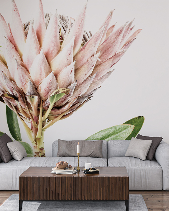 large-protea-flower-mural-in-soft-pink-and-green-a-stylish-option-for-modern-office-wallpaper-designs Large protea flower mural in soft pink and green, a stylish option for modern office wallpaper designs.