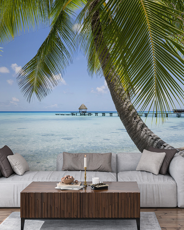 a-tropical-beach-scene-featuring-palm-trees-and-clear-waters-ideal-bright-wallpaper-for-different-design-styles A tropical beach scene featuring palm trees and clear waters, ideal bright wallpaper for different design styles.