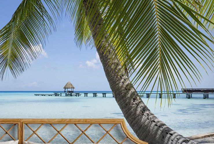 Bedroom with tropical-themed bright wallpaper in commercial spaces, featuring a palm tree, clear ocean, and a pier.
