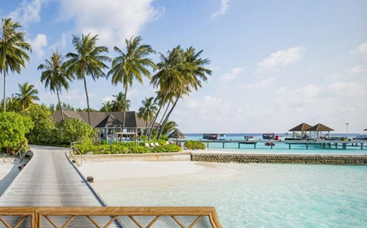 Bedroom with tropical-themed bright wallpaper on accent walls, featuring a boardwalk, palm trees, and turquoise ocean.
