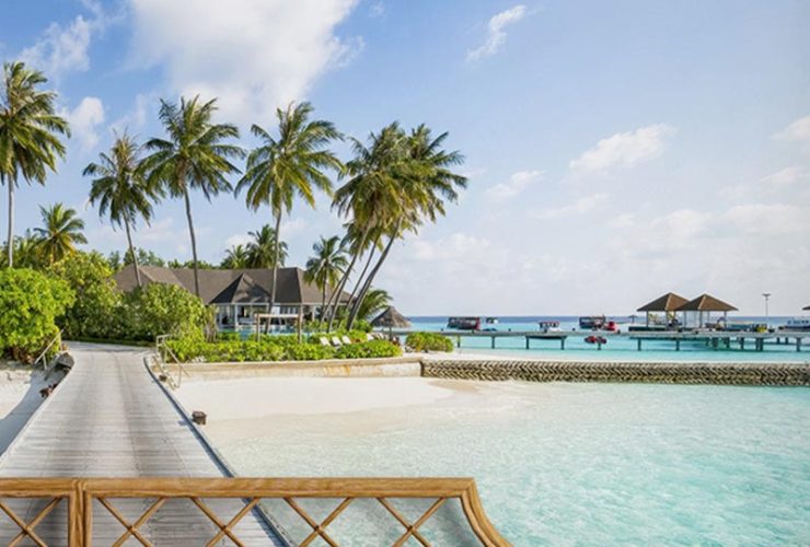 Bedroom with tropical-themed bright wallpaper on accent walls, featuring a boardwalk, palm trees, and turquoise ocean.