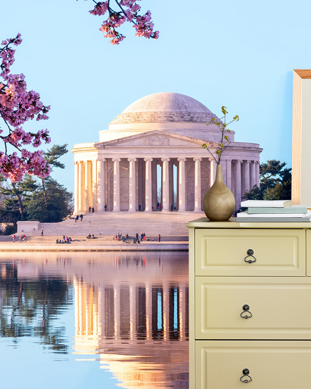 jefferson-memorial-mural-with-cherry-blossoms-and-reflection-on-water-showcasing-types-of-bright-wallpaper-designs Jefferson Memorial mural with cherry blossoms and reflection on water, showcasing types of bright wallpaper designs.