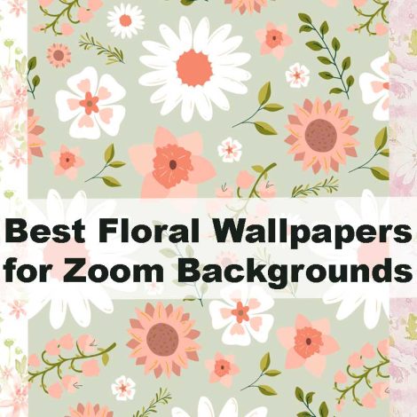 Best Floral Wallpapers for Zoom Backgrounds