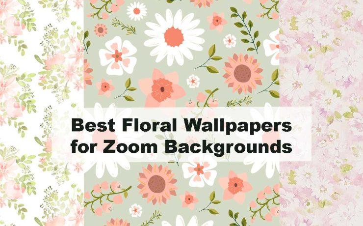 Best Floral Wallpapers for Zoom Backgrounds