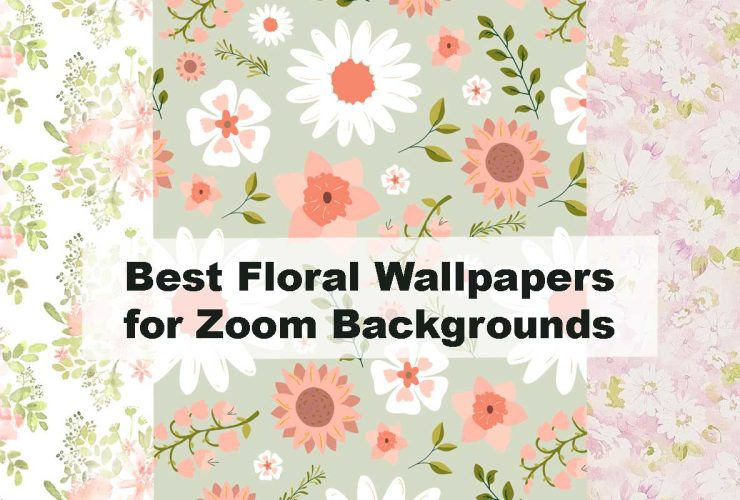 Best Floral Wallpapers for Zoom Backgrounds
