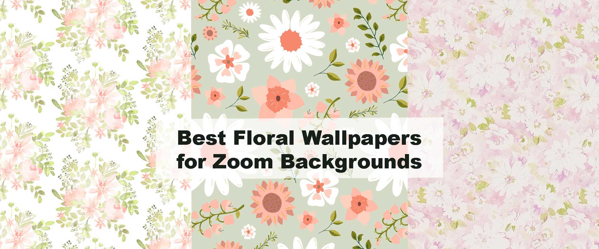 Best Floral Wallpapers for Zoom Backgrounds