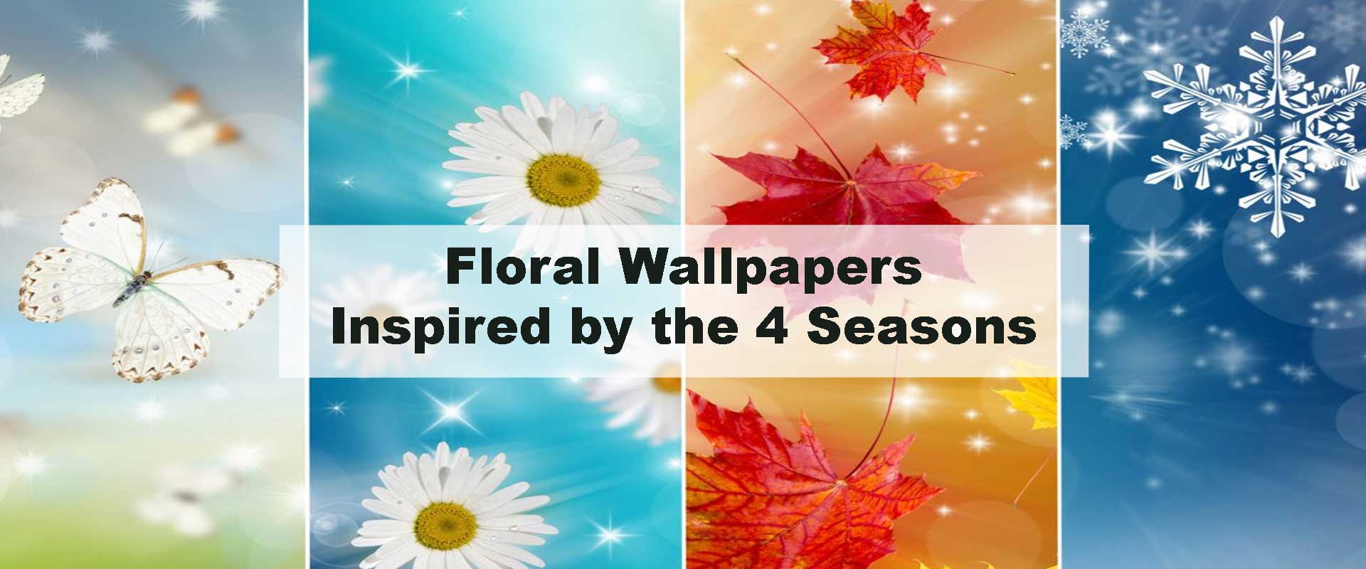 Floral Wallpapers Inspired by the 4 Seasons