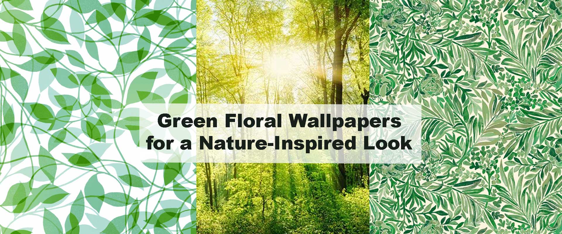 Green Floral Wallpapers for a Nature-Inspired Look