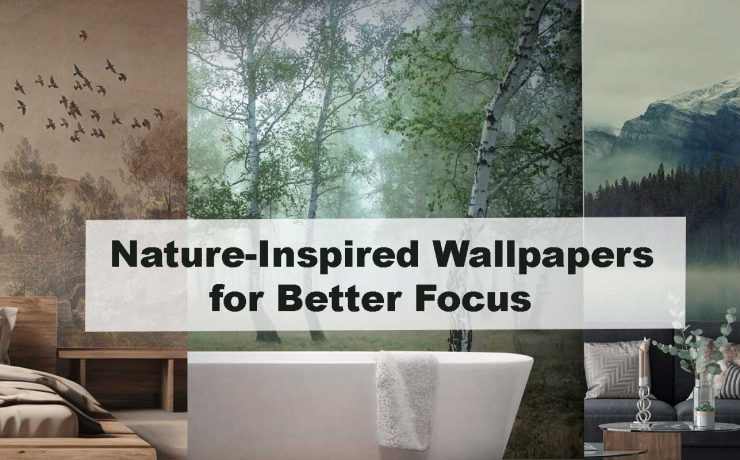 Nature-Inspired Wallpapers for Better Focus