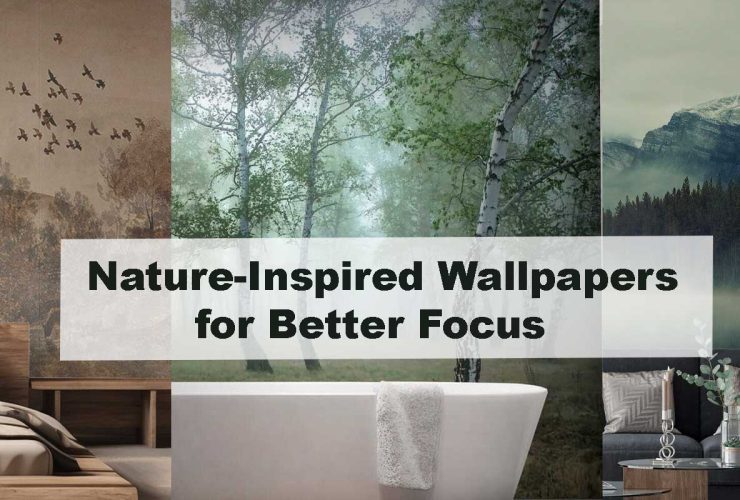 Nature-Inspired Wallpapers for Better Focus