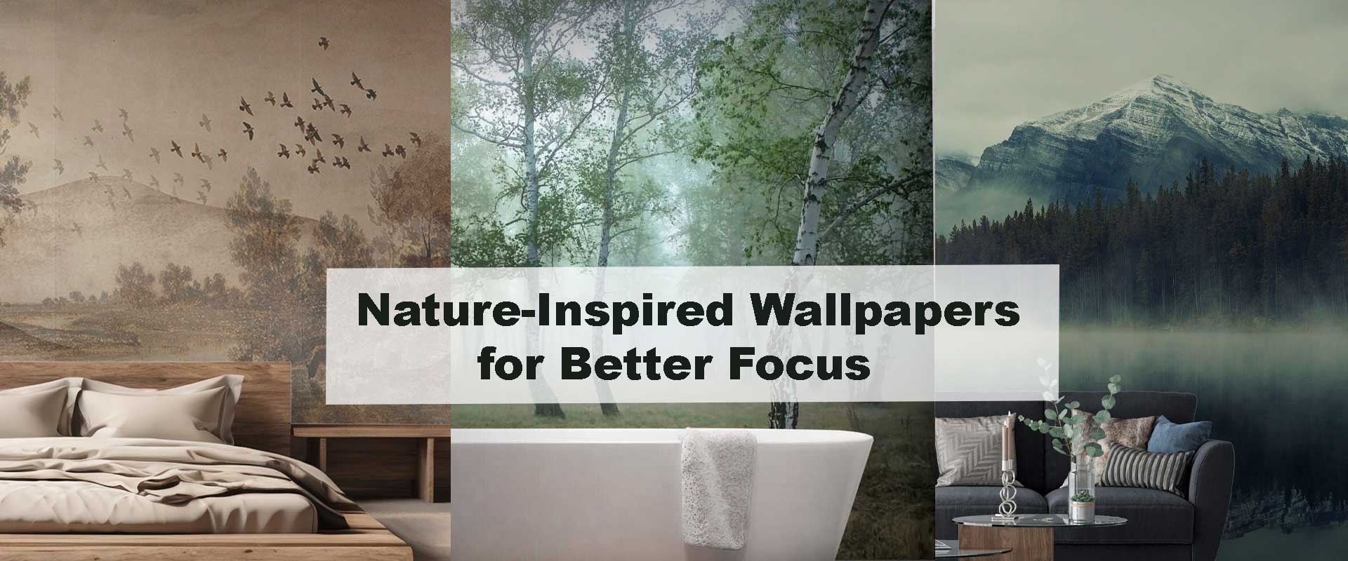 Nature-Inspired Wallpapers for Better Focus