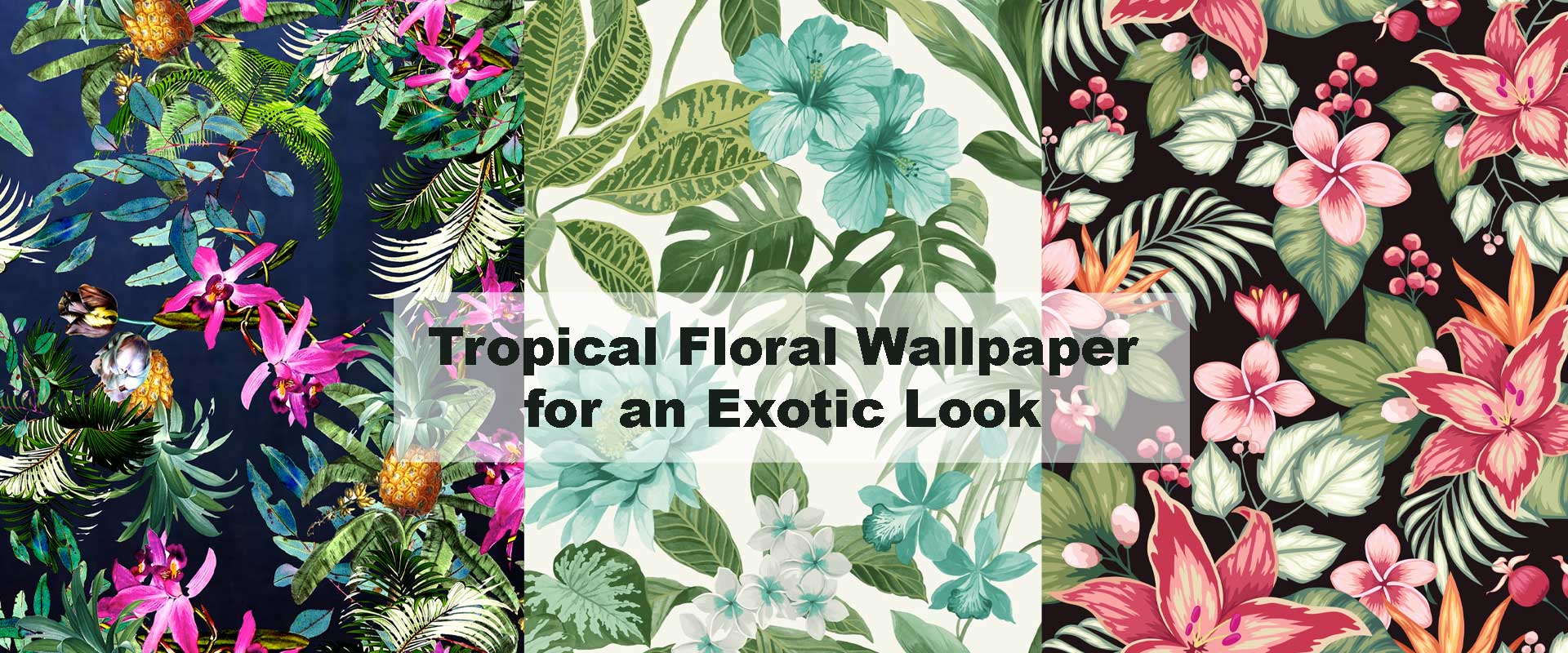 Tropical Floral Wallpaper for an Exotic Look