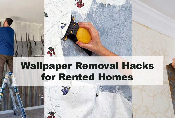 Wallpaper Removal Hacks for Rented Homes
