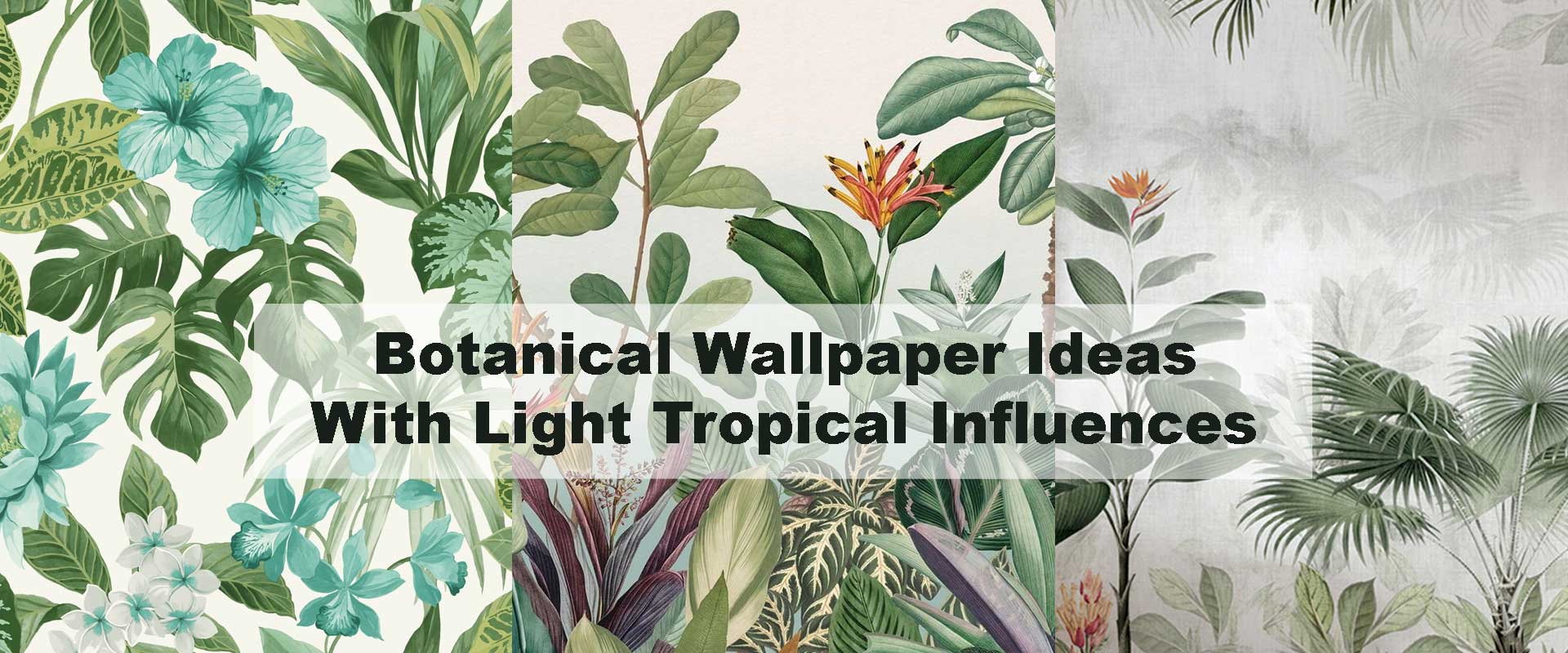 Botanical Wallpaper Ideas With Light Tropical Influences