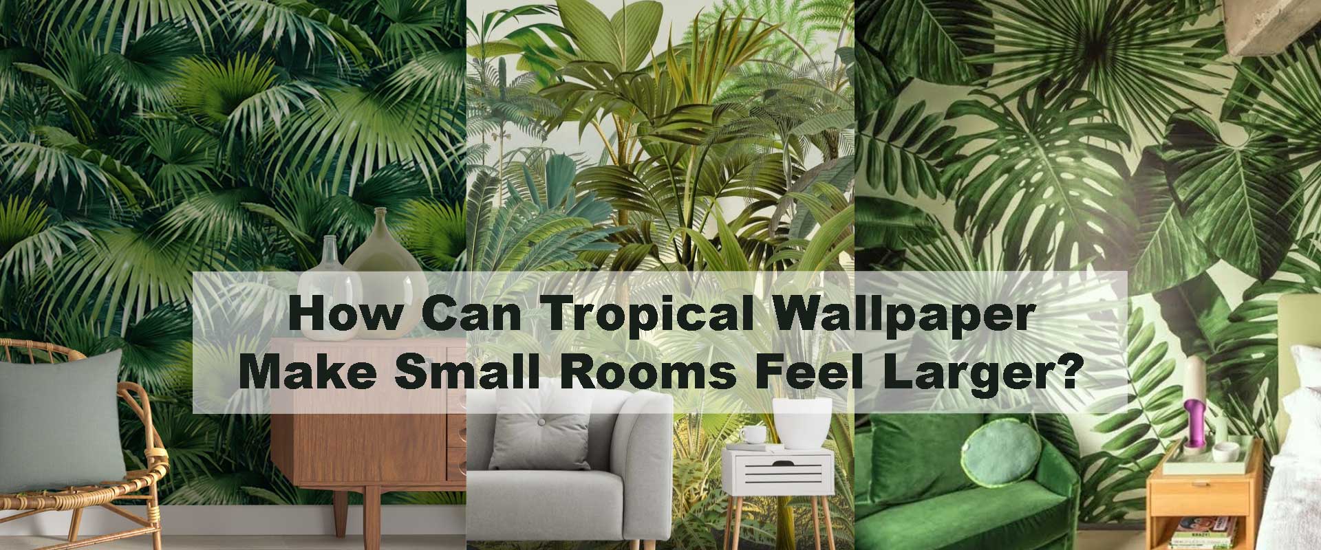 How Can Tropical Wallpaper Make Small Rooms Feel Larger?