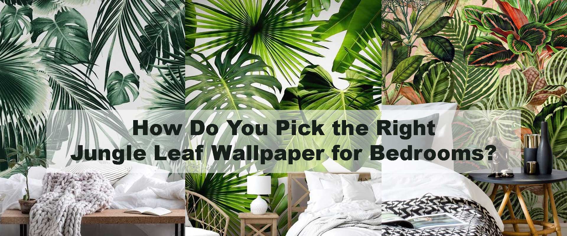 How Do You Pick the Right Jungle Leaf Wallpaper for Bedrooms?