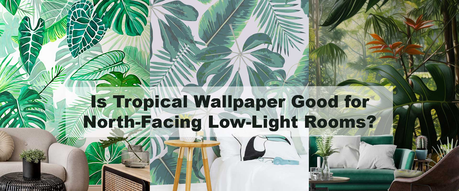 Is Tropical Wallpaper Good for North-Facing Low-Light Rooms?