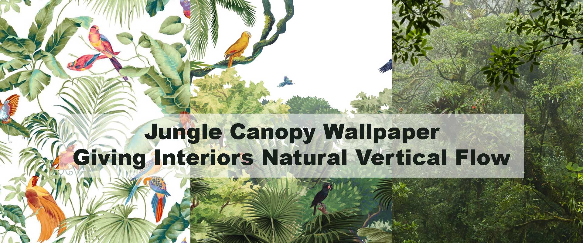 Jungle Canopy Wallpaper Giving Interiors Natural Vertical Flow