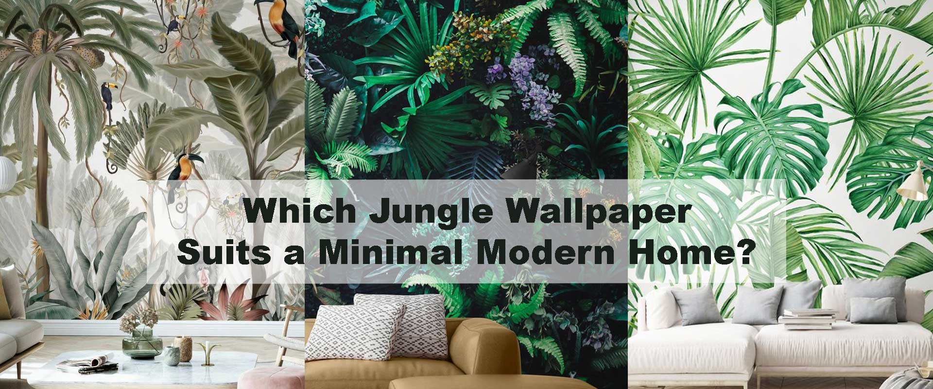 Which Jungle Wallpaper Suits a Minimal Modern Home?