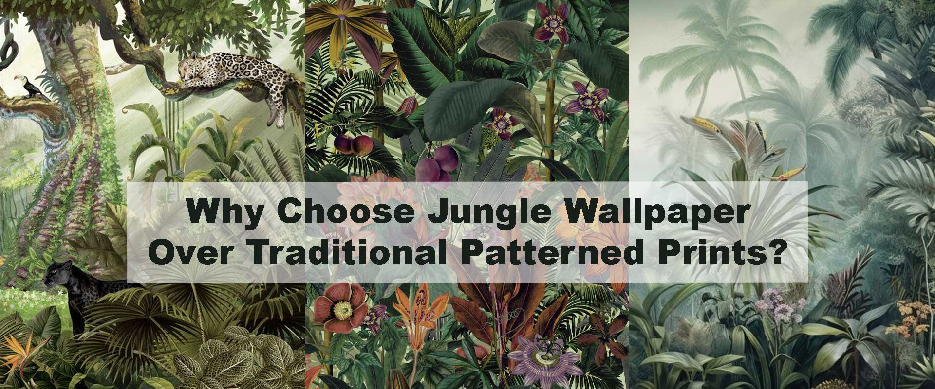 Why Choose Jungle Wallpaper Over Traditional Patterned Prints?