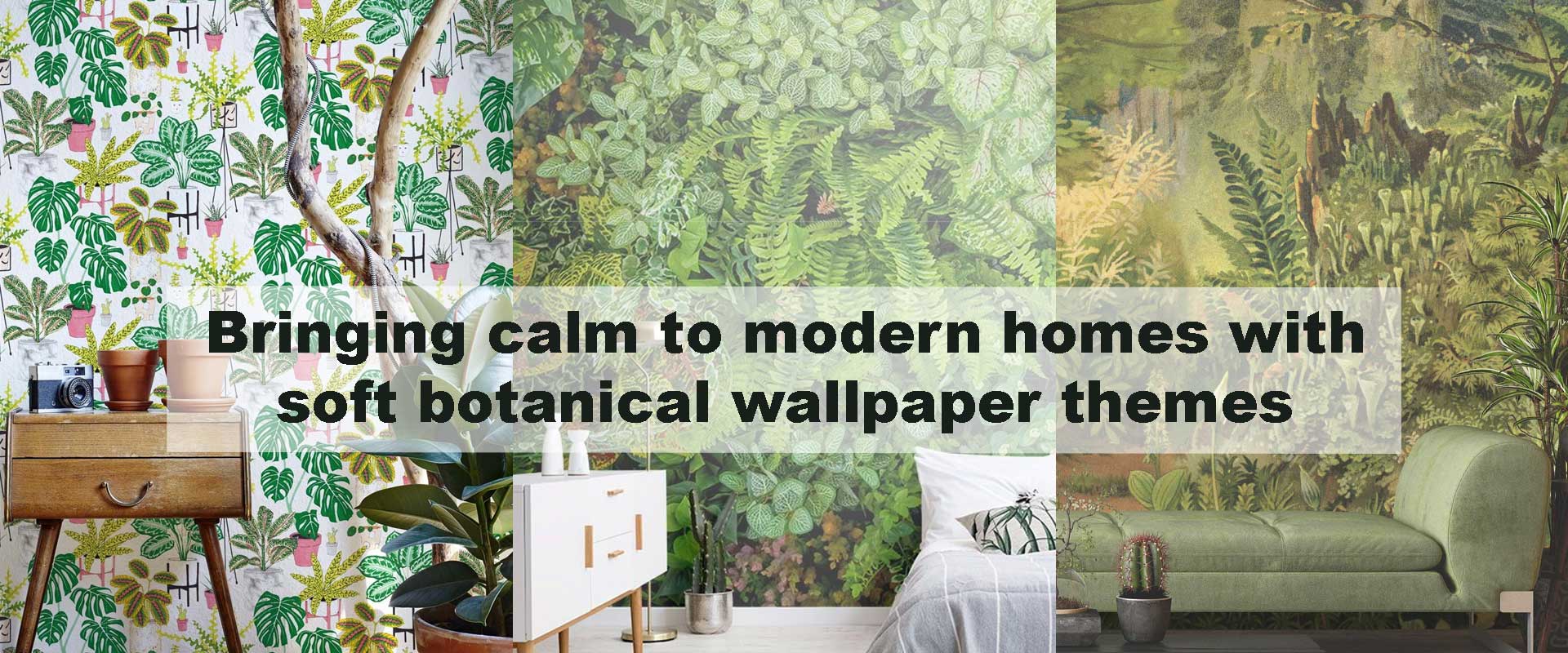 Bringing calm to modern homes with soft botanical wallpaper themes