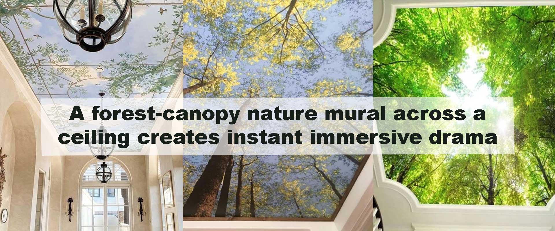 A forest-canopy nature mural across a ceiling creates instant immersive drama