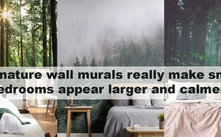Do nature wall murals really make small bedrooms appear larger and calmer?