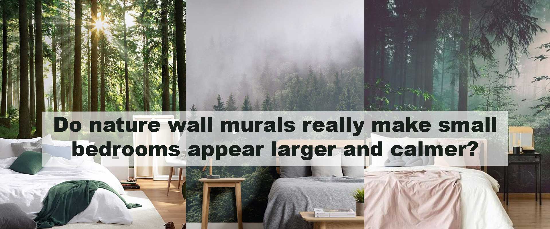 Do nature wall murals really make small bedrooms appear larger and calmer?