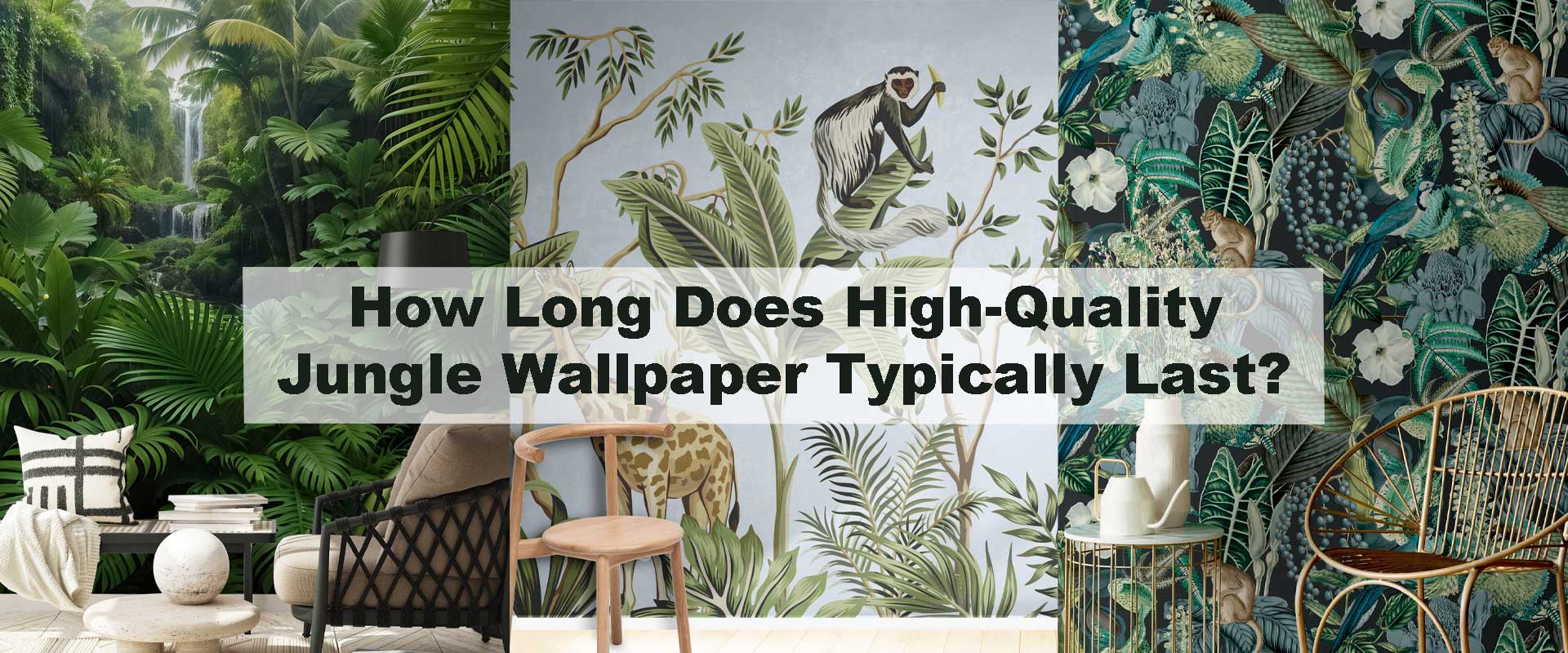 How Long Does High-Quality Jungle Wallpaper Typically Last?