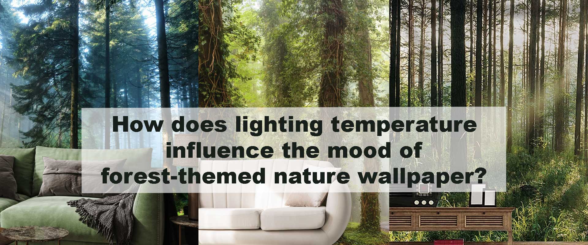 How does lighting temperature influence the mood of forest-themed nature wallpaper?