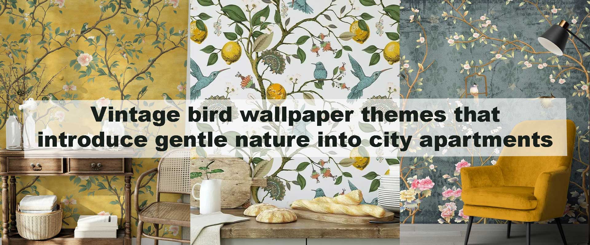 Vintage bird wallpaper themes that introduce gentle nature into city apartments