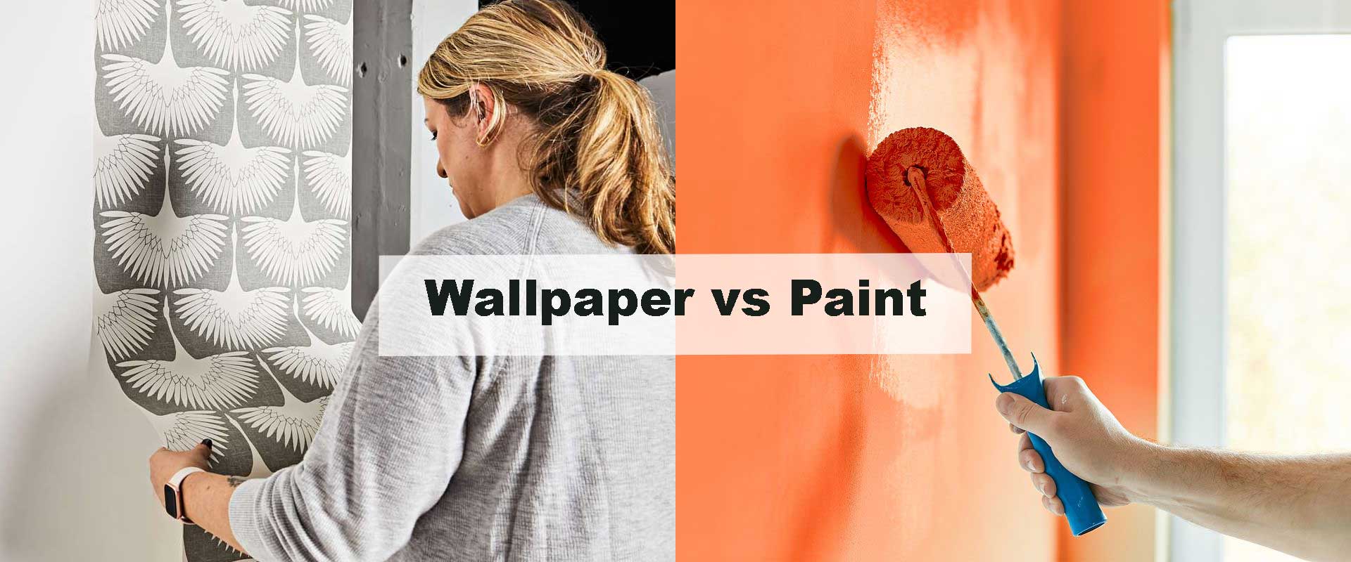 Wallpaper vs Paint – Which Adds More Value?