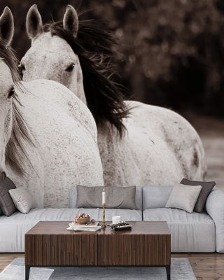 Two Wild Horses Sepia Wallpaper