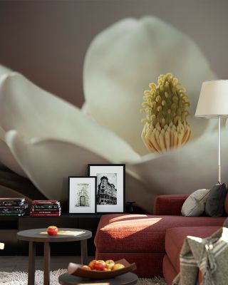 Magnolia Detail II Floral Wallpaper