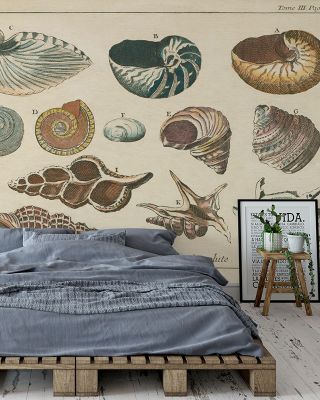 Shell Etchings I Abstract Wallpaper