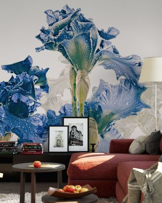 Blue Iris Floral Wallpaper
