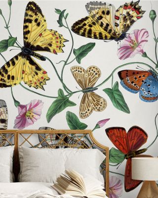 Butterfly & Moths Abstract Wallpaper