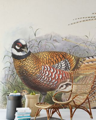 Autumn Pheasant II Scenic Wallpaper