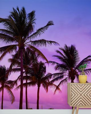 Palm Trees in Miami South Beach Scenic Wallpaper