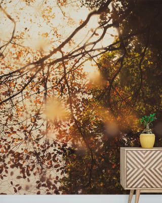 Perfect Day Scenic Wallpaper
