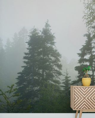 Canadian Fog Wallpaper