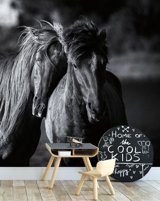 Buddies Wallpaper
